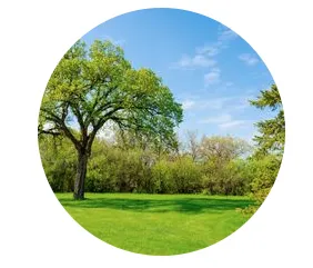 Professional garden landscaping in Naples, FL by Lawn care Rick fix it