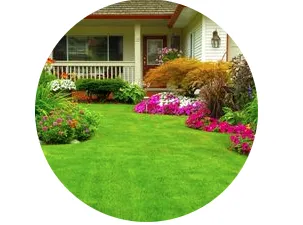 Expert landscape installation near you across Naples, FL - Lawn care Rick fix it