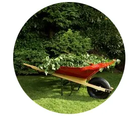 Expert yard cleanup service in Naples, FL by Lawn care Rick fix it