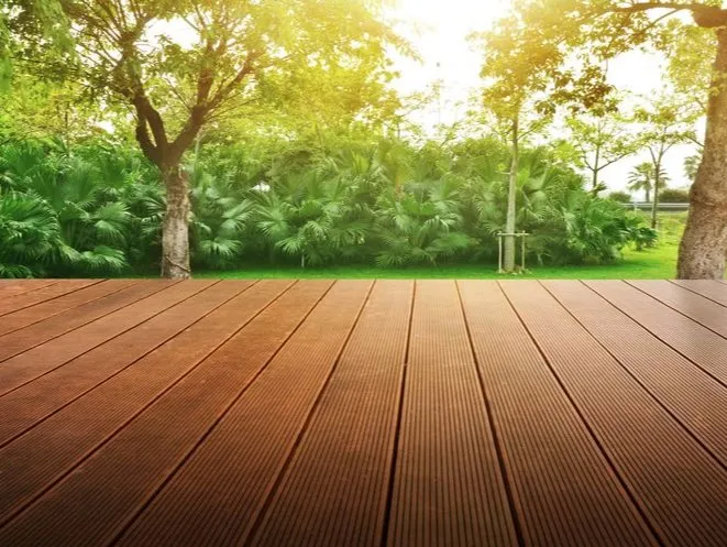 Reliable lawn care service for year-round maintenance in Naples, FL by Lawn care Rick fix it