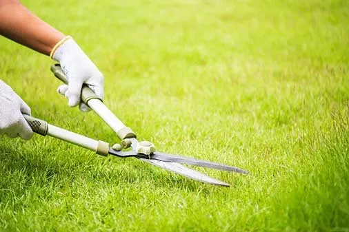 Lawn Care Service by Willie Logo