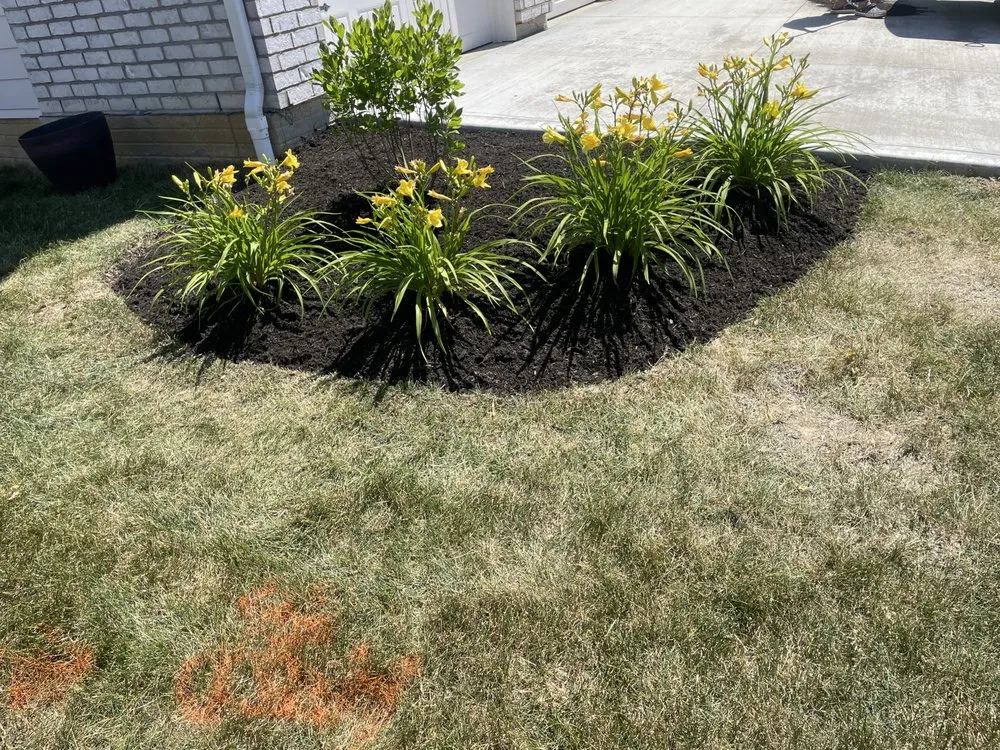 Trusted landscaping services in Columbus, OH by Lawn care service
