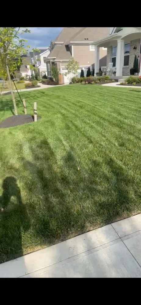 Professional lawn mowing service in Columbus, OH - Lawn care service