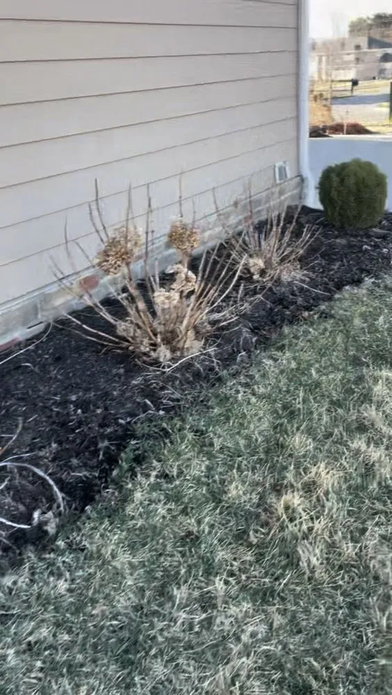 Local landscaping services in Columbus, OH by Lawn care service