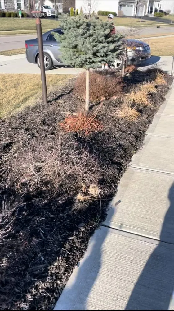 Professional lawn mowing service for homes across Columbus, OH - Lawn care service