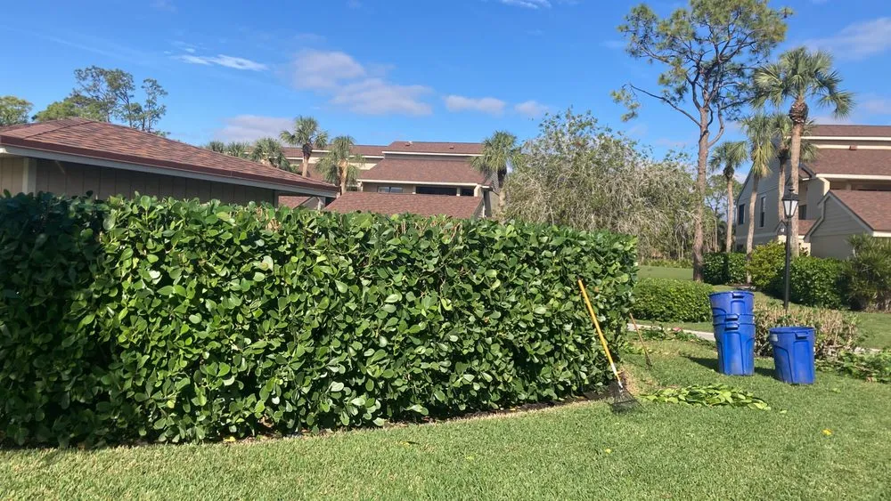 Expert lawn mowing service experts serving Naples, FL - Lawn Care Service