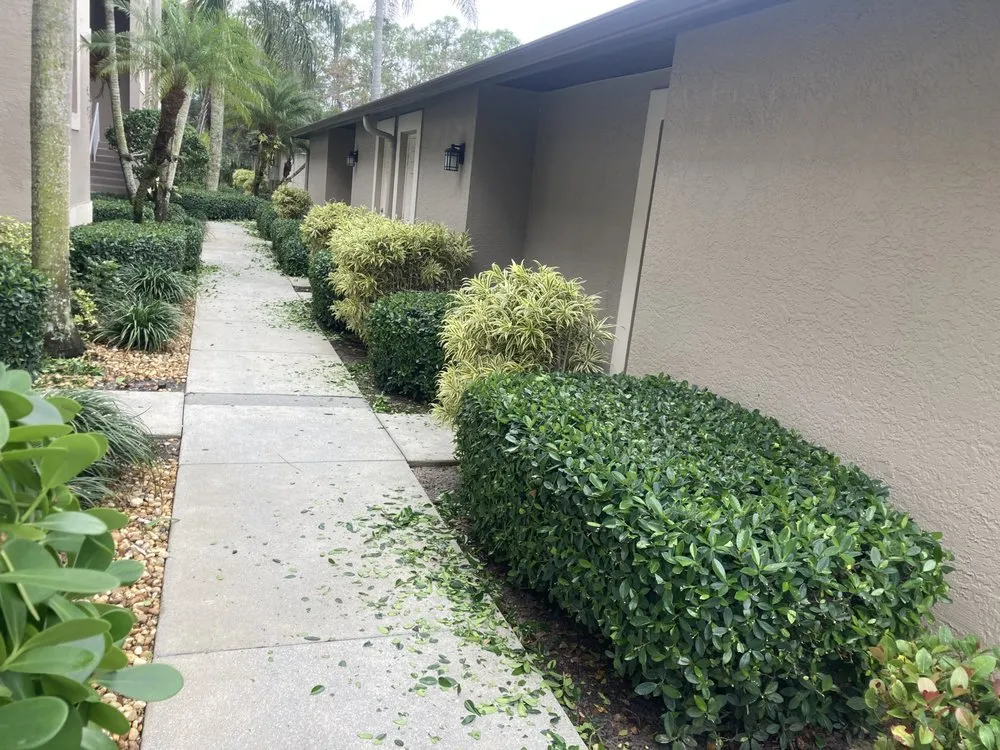 Expert lawn mowing service in Naples, FL - Lawn Care Service