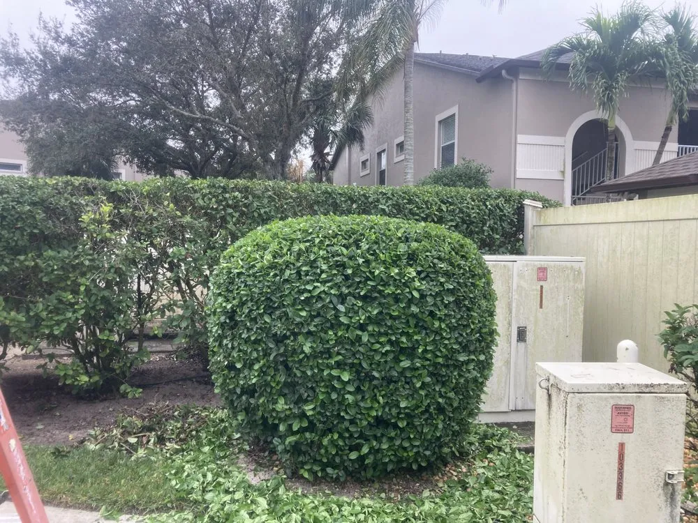 Professional residential landscaping experts serving Naples, FL - Lawn Care Service