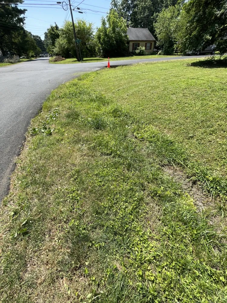 Reliable residential landscaping experts serving Newport News, VA - Lawn Care Service