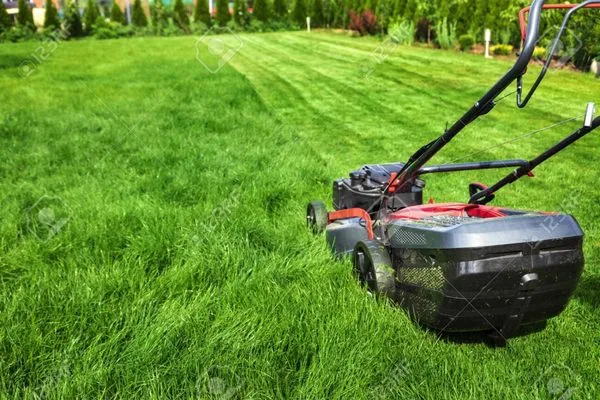 Lawn Care Service Logo