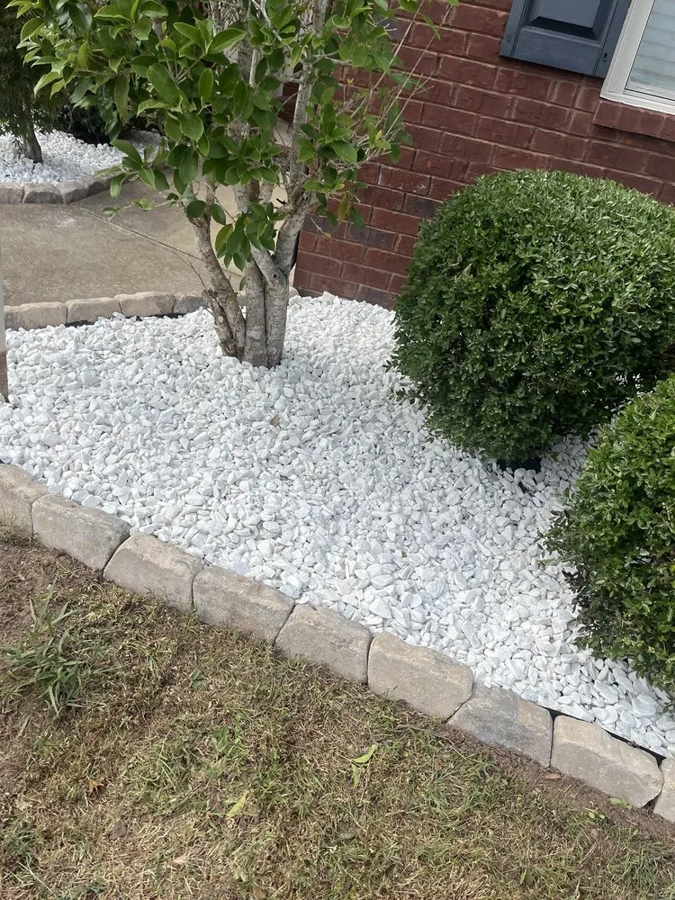 Expert landscaping services for year-round maintenance across Montgomery, AL - Lawn Care Service Vasquez