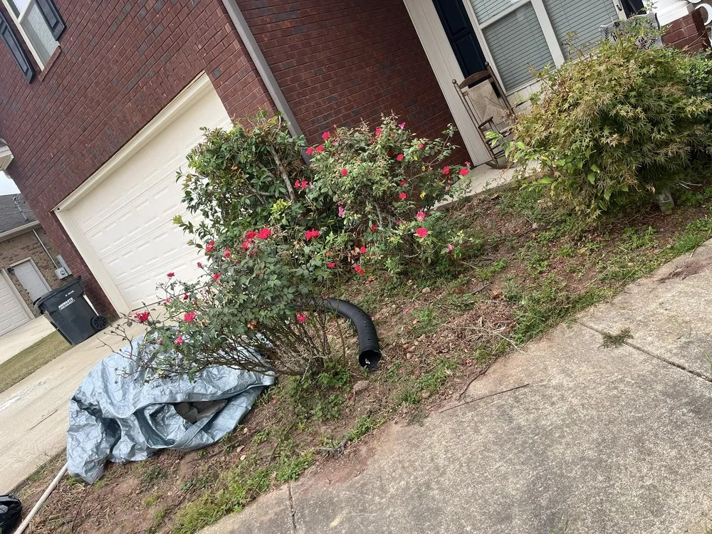 Affordable yard cleanup service for residential properties in Montgomery, AL by Lawn Care Service Vasquez