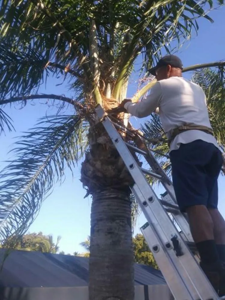 Expert landscape installation in Cape Coral, FL - Lawn Care Service We Do It 4 You