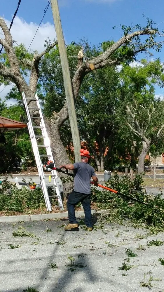 Trusted yard cleanup service in Cape Coral, FL - Lawn Care Service We Do It 4 You