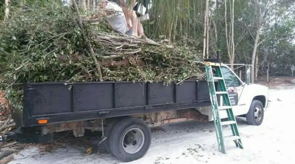 Trusted yard maintenance experts serving Cape Coral, FL - Lawn Care Service We Do It 4 You