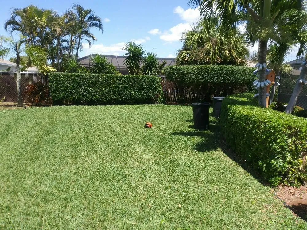 Local landscaping services in Cape Coral, FL - Lawn Care Service We Do It 4 You