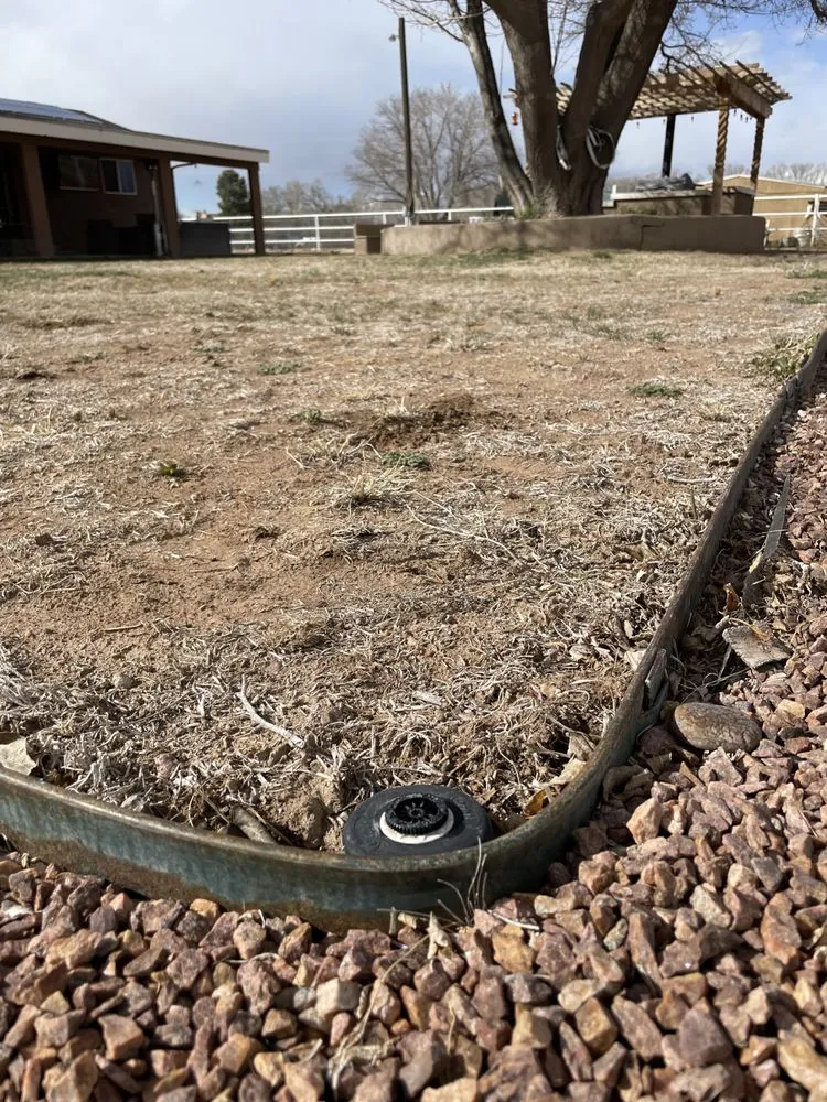 Custom lawn mowing service in Albuquerque, NM by Lawn care services