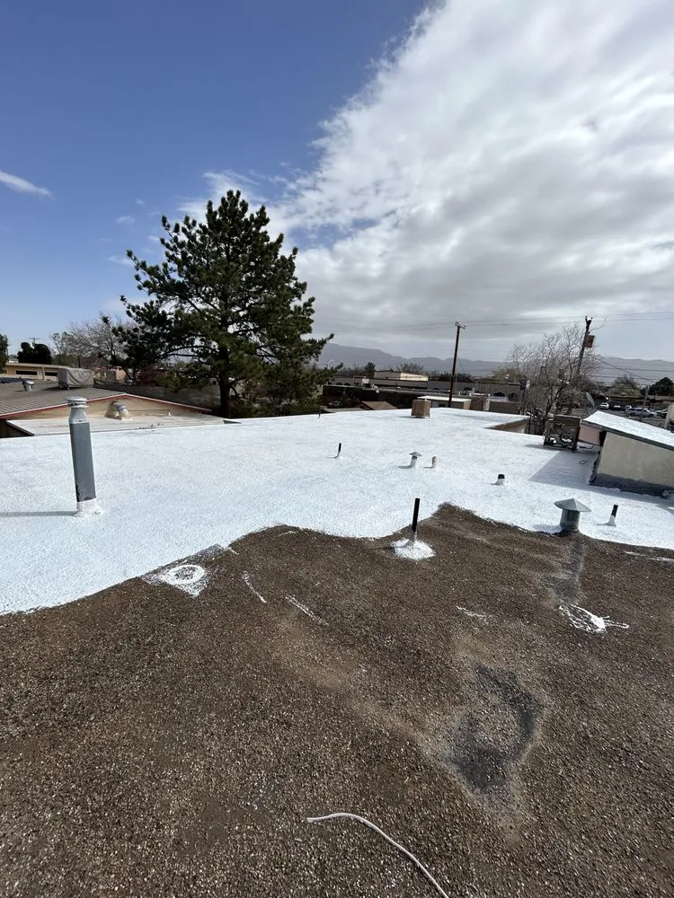 Local lawn care service experts serving Albuquerque, NM - Lawn care services