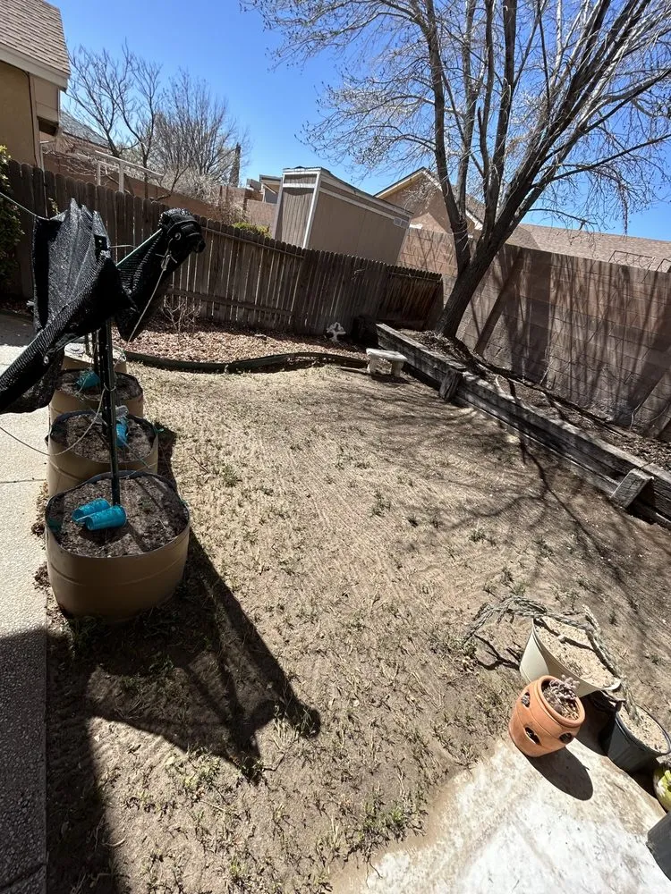 Expert residential landscaping in Albuquerque, NM - Lawn care services