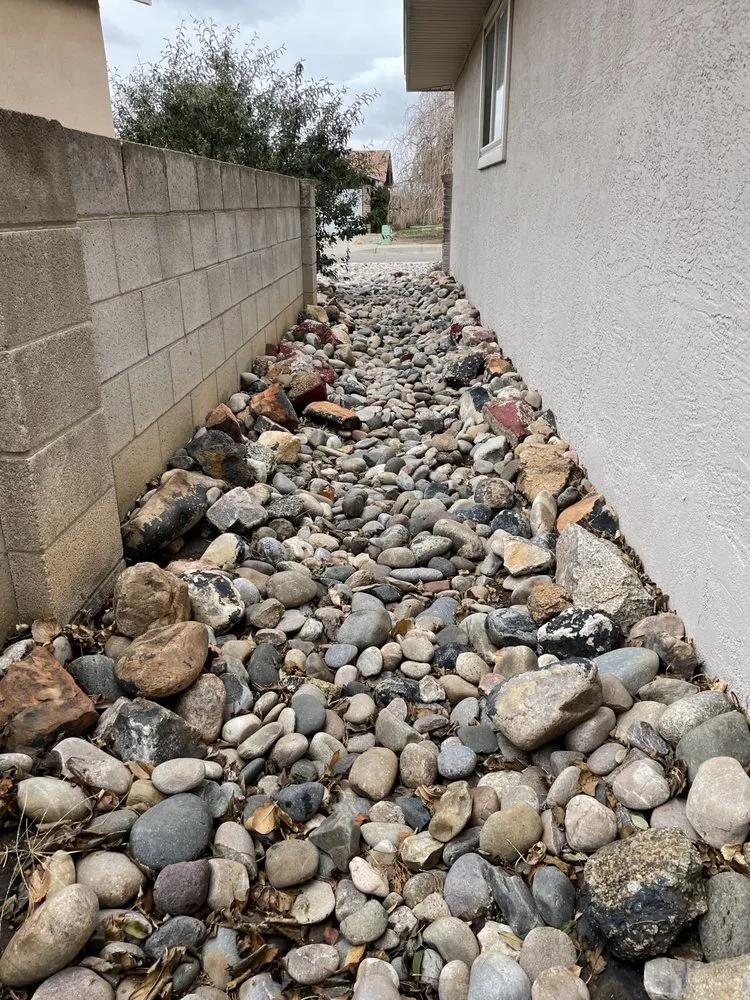 Affordable yard cleanup service for residential properties in Albuquerque, NM by Lawn care services