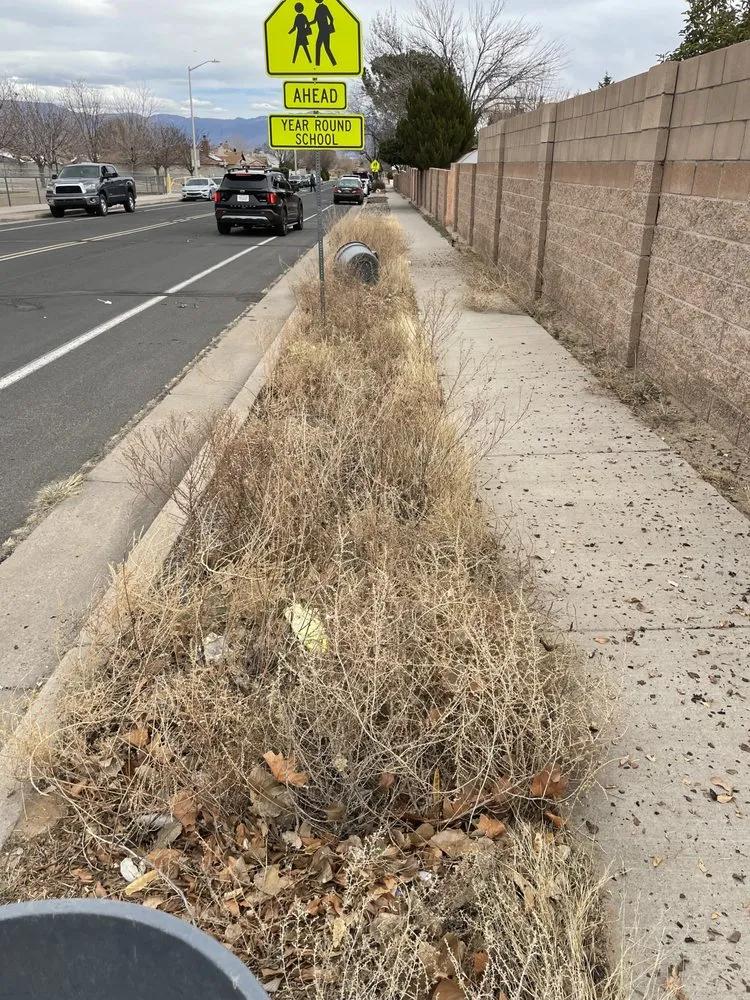 Trusted lawn care service for residential properties in Albuquerque, NM by Lawn care services