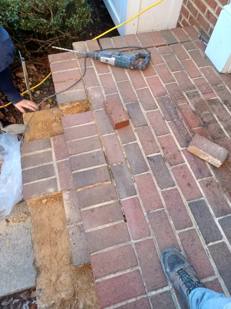 Custom yard maintenance experts serving Forest Heights, MD - Lawn Care Services