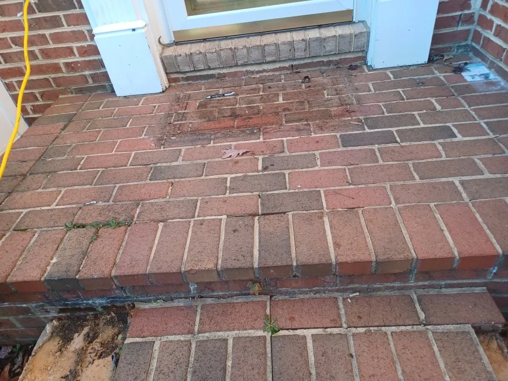 Custom yard cleanup service in Forest Heights, MD - Lawn Care Services