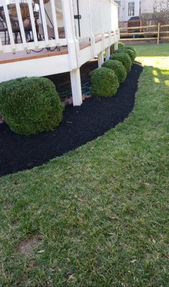 Reliable landscape design for outdoor upgrades across Forest Heights, MD - Lawn Care Services