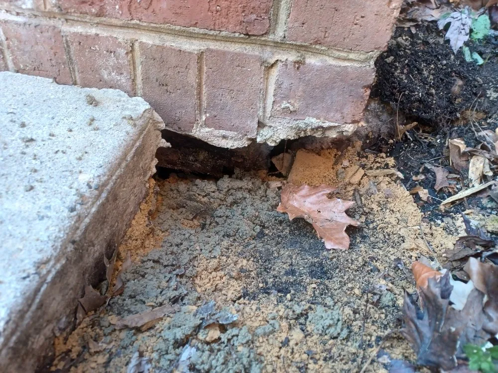 Professional lawn care service for year-round maintenance across Forest Heights, MD - Lawn Care Services