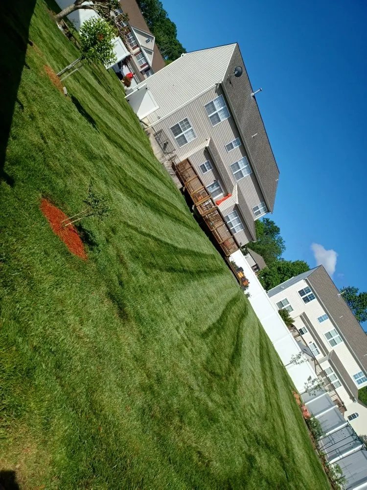 Trusted landscape design experts serving Forest Heights, MD - Lawn Care Services