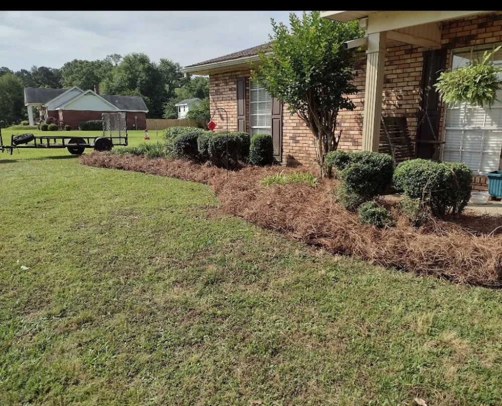 Local lawn mowing service for residential properties across Hattiesburg, MS - Lawn Care Services Lawn King