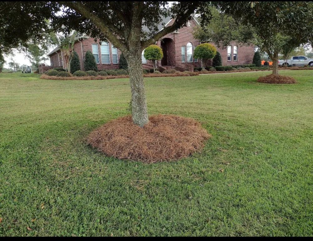 Expert residential landscaping in Hattiesburg, MS by Lawn Care Services Lawn King
