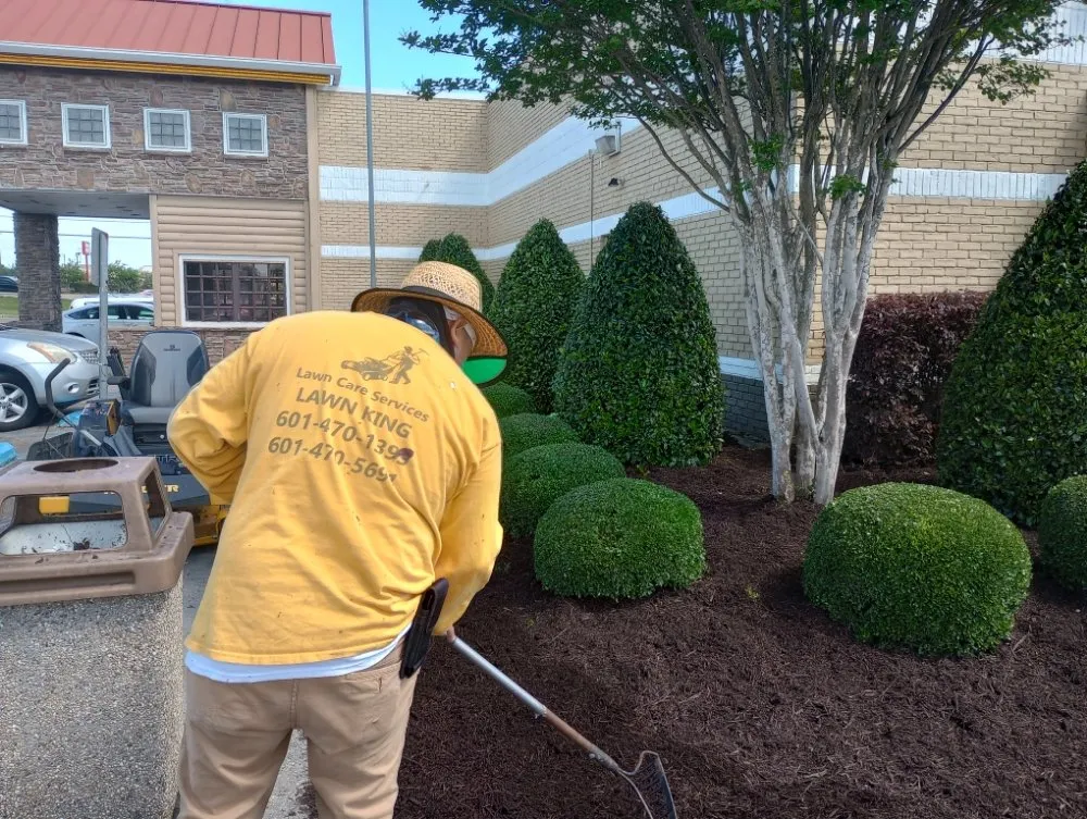 Reliable yard cleanup service for outdoor upgrades in Hattiesburg, MS by Lawn Care Services Lawn King