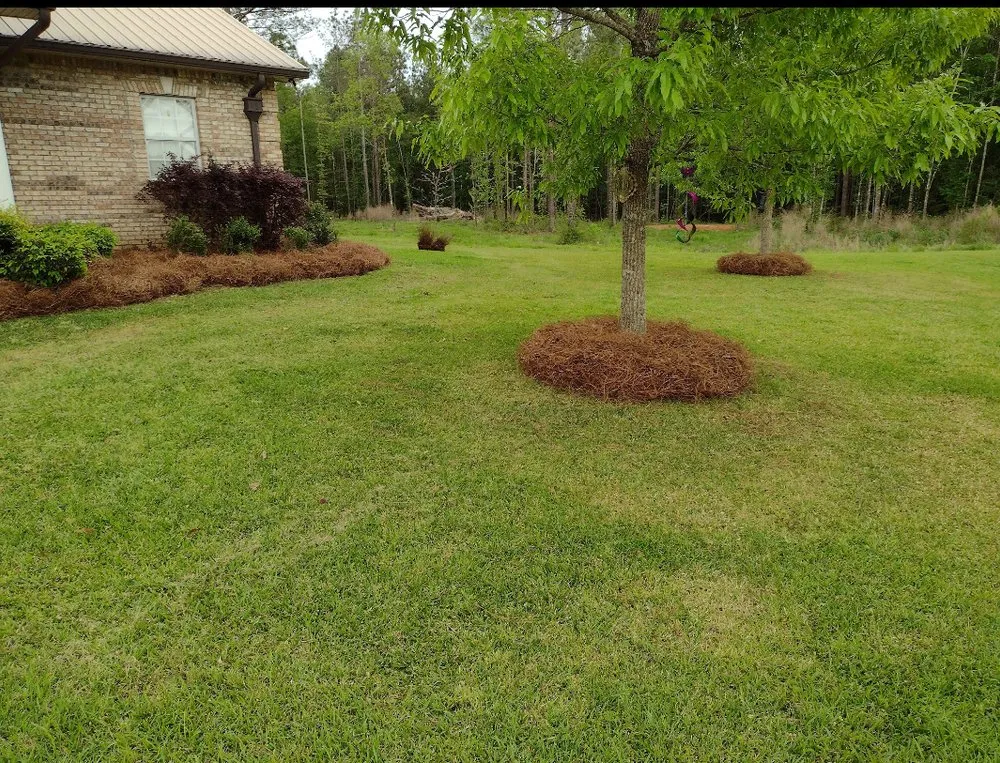 Expert residential landscaping in Hattiesburg, MS by Lawn Care Services Lawn King