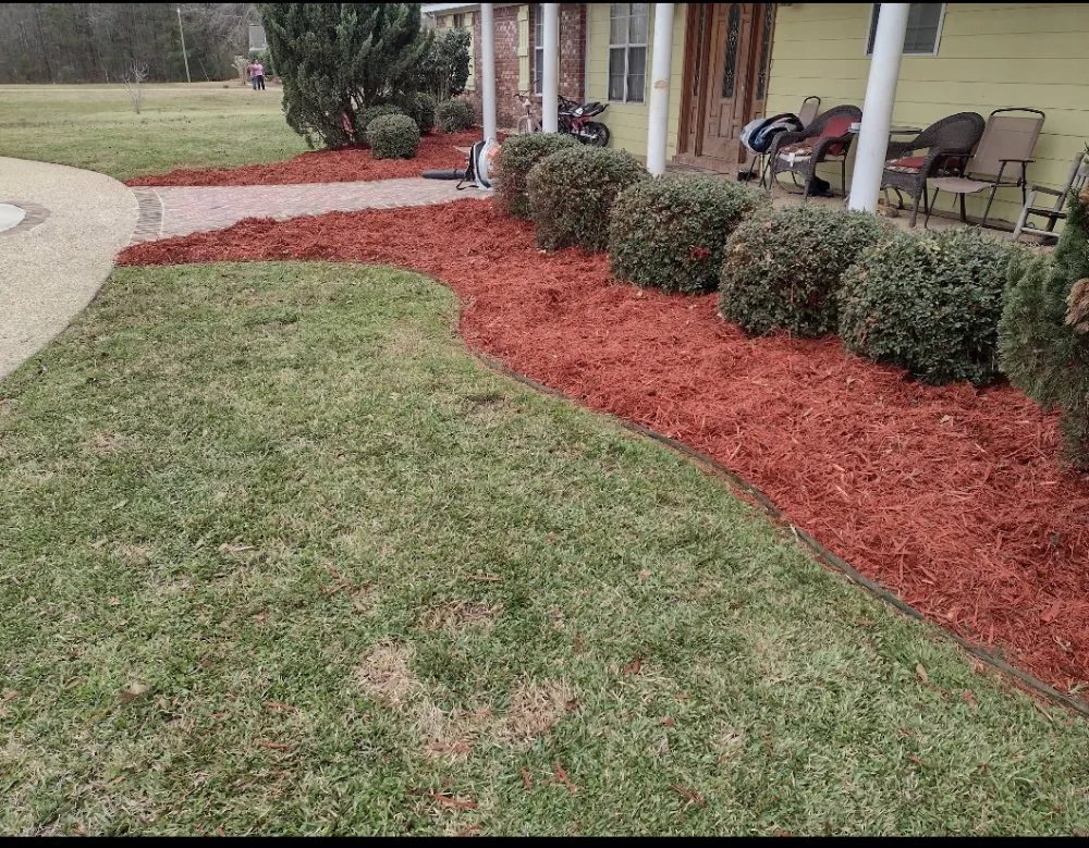 Professional yard cleanup service experts serving Hattiesburg, MS - Lawn Care Services Lawn King