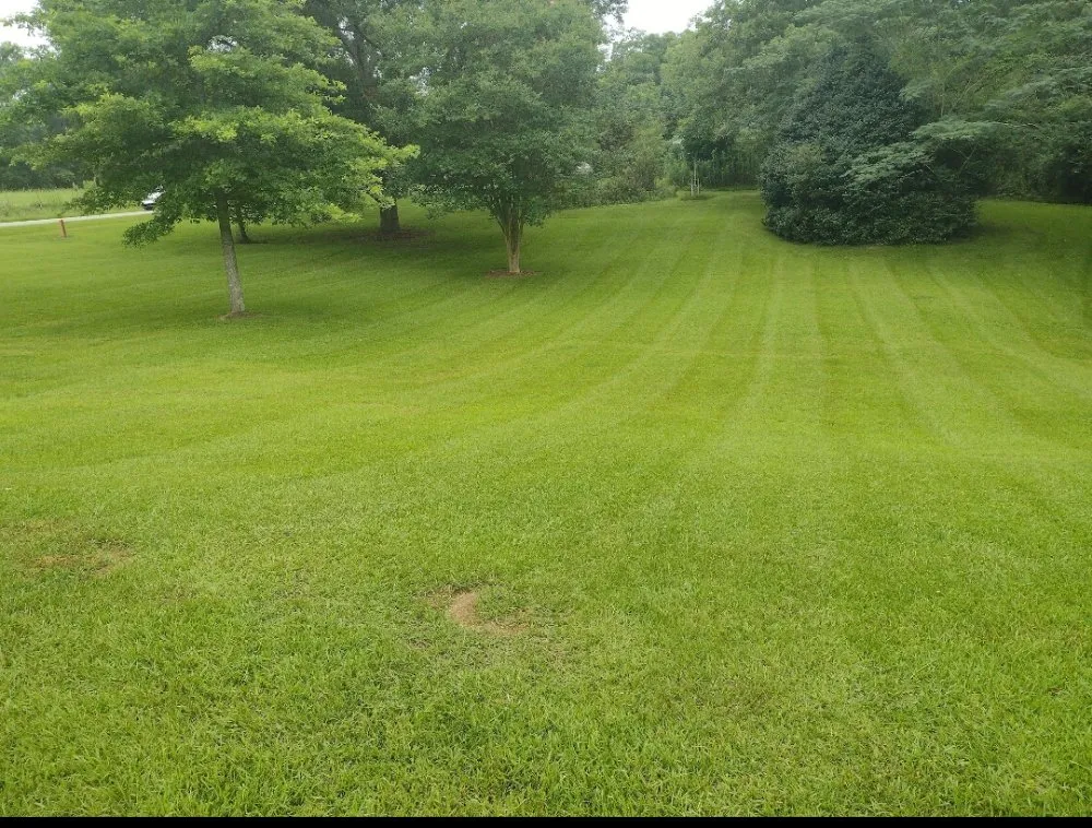 Expert landscape design for outdoor upgrades in Hattiesburg, MS by Lawn Care Services Lawn King