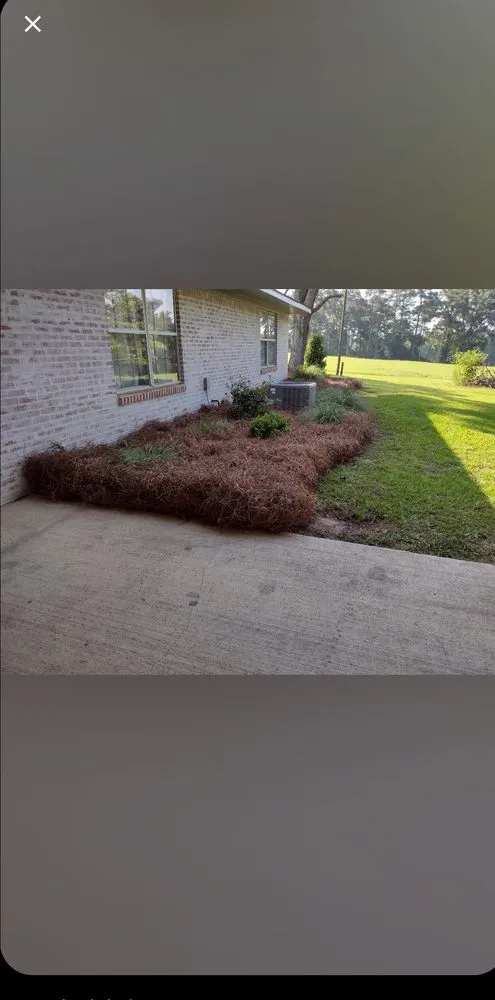 Trusted lawn mowing service experts serving Hattiesburg, MS - Lawn Care Services Lawn King