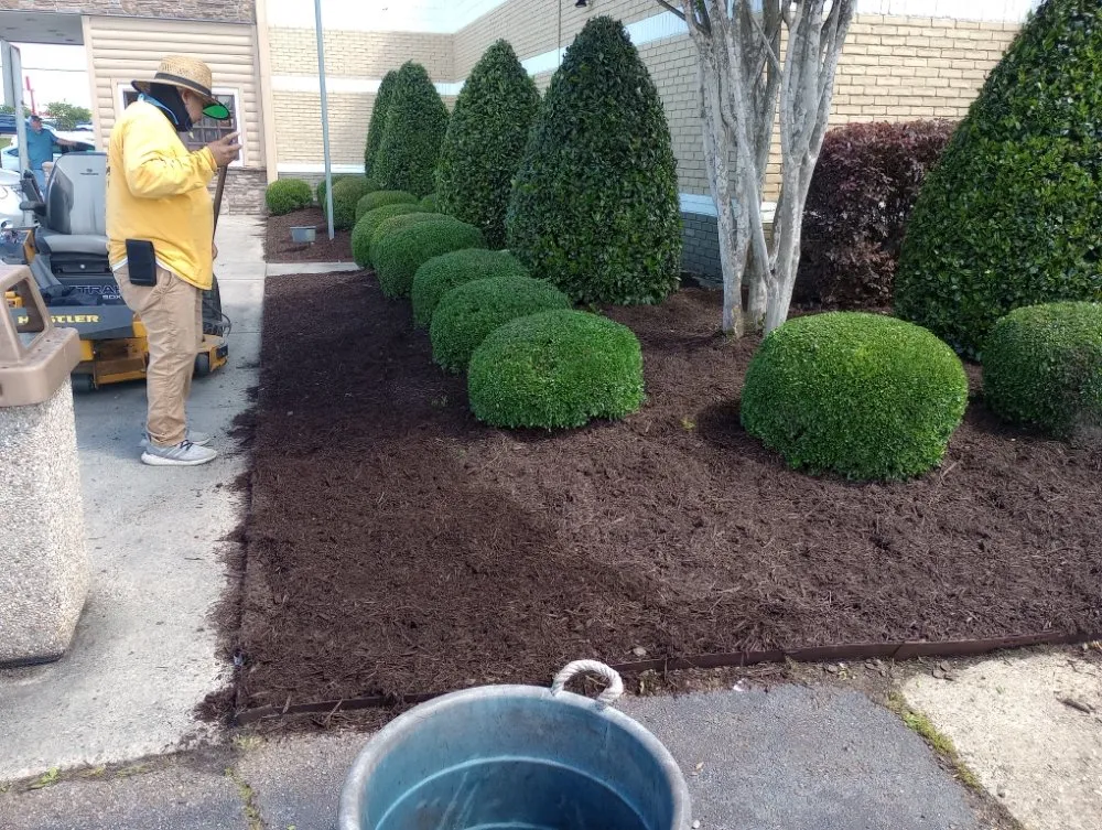 Custom lawn care service in Hattiesburg, MS - Lawn Care Services Lawn King