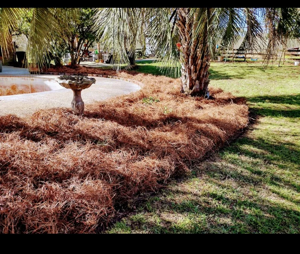 Top-rated residential landscaping near you across Hattiesburg, MS - Lawn Care Services Lawn King