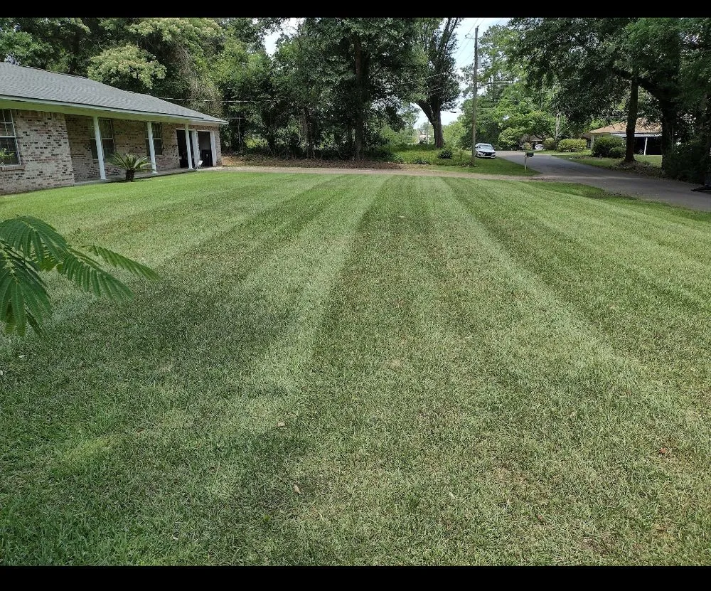 Local yard maintenance in Hattiesburg, MS - Lawn Care Services Lawn King