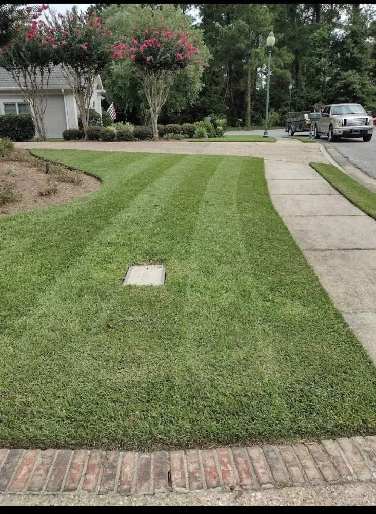 Reliable yard maintenance in Hattiesburg, MS - Lawn Care Services Lawn King