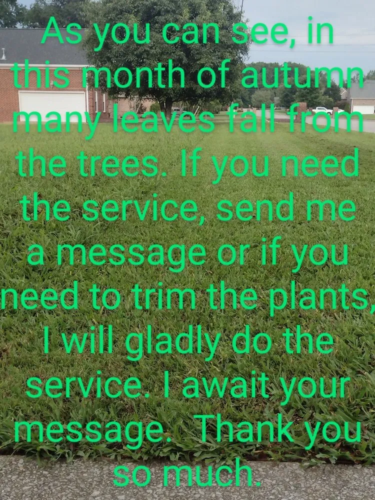 Professional landscaping services in Lebanon, TN - Lawn Care Services Lopez