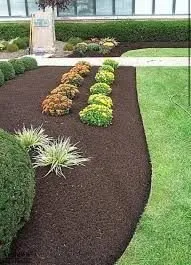 Trusted landscaping services in Lebanon, TN - Lawn Care Services Lopez
