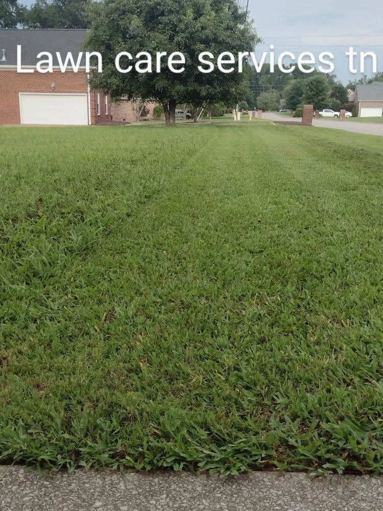 Expert landscape installation experts serving Lebanon, TN - Lawn Care Services Lopez