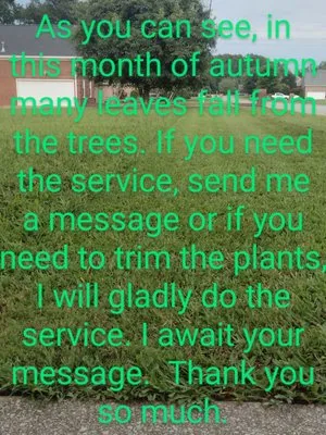 Lawn Care Services Lopez Logo