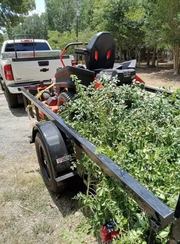 Trusted lawn care service for homes across Pinehurst, TX - Lawn Care Services