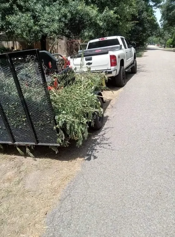 Reliable landscape installation for residential properties across Pinehurst, TX - Lawn Care Services