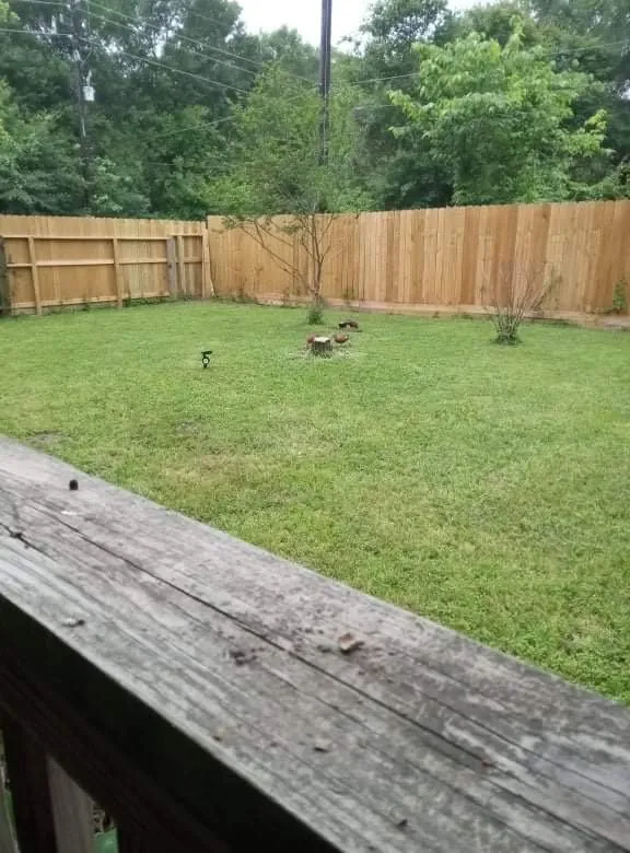 Expert residential landscaping experts serving Pinehurst, TX - Lawn Care Services