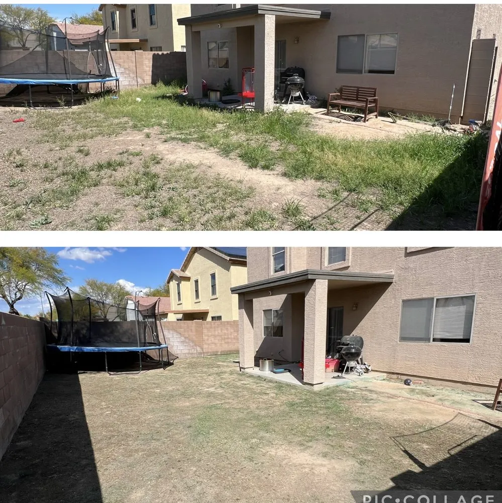Top-rated yard cleanup service in Tolleson, AZ by Lawn Care Services