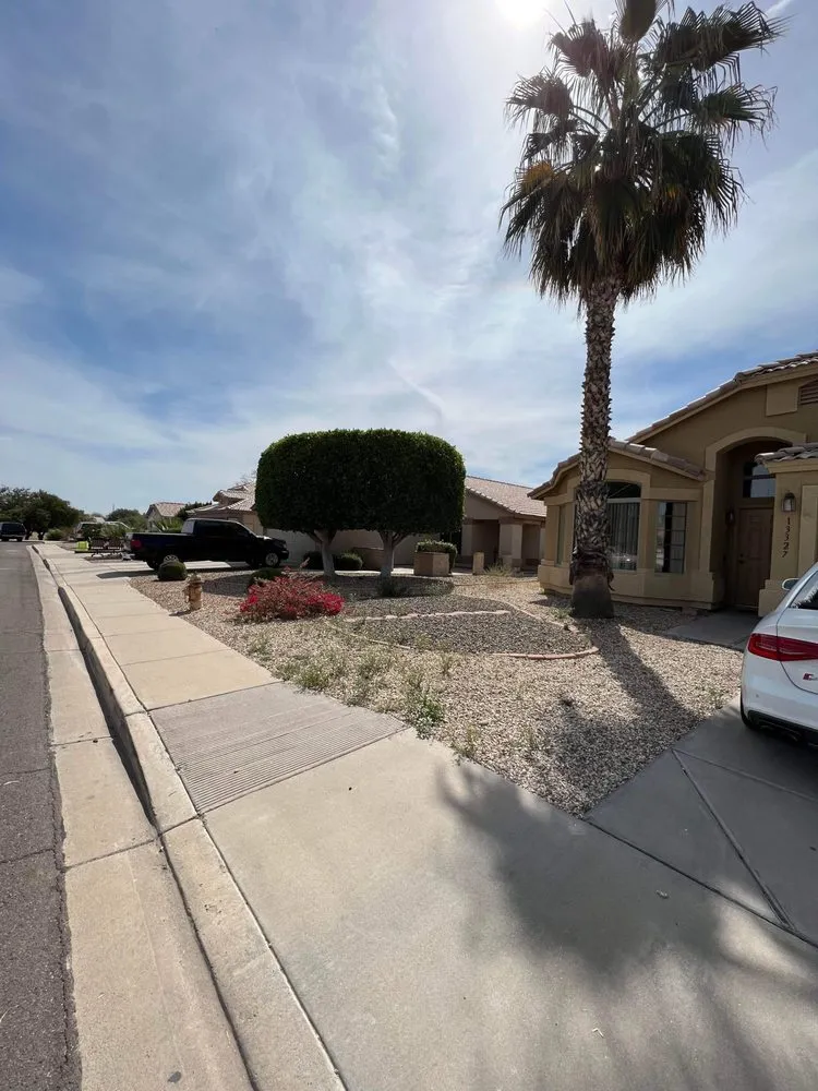 Trusted yard maintenance for outdoor upgrades in Tolleson, AZ by Lawn Care Services